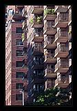 New York 016